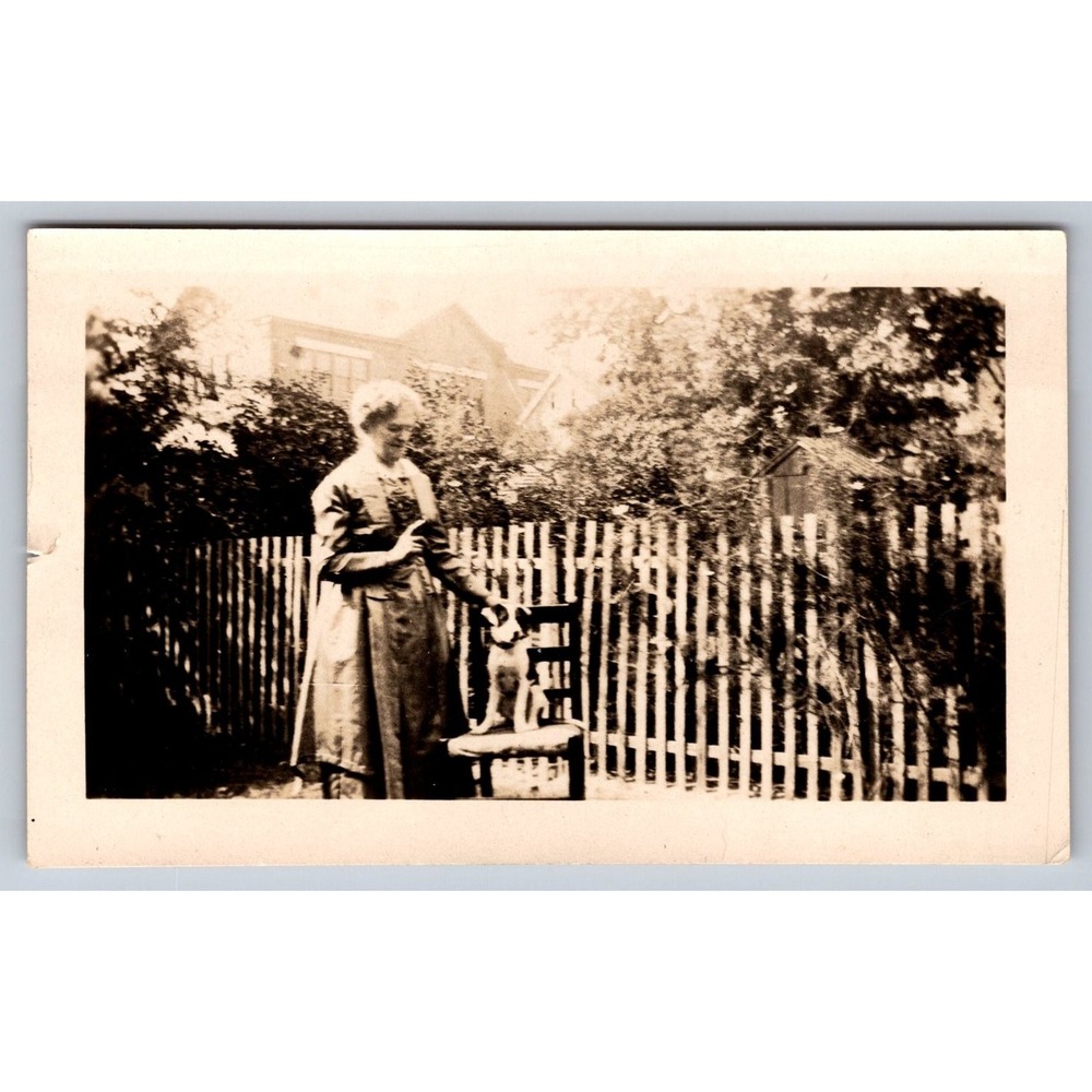 Woman Dog 1910s Snapshot Photo Outdoor Picket Fence Americana Gelatin Print